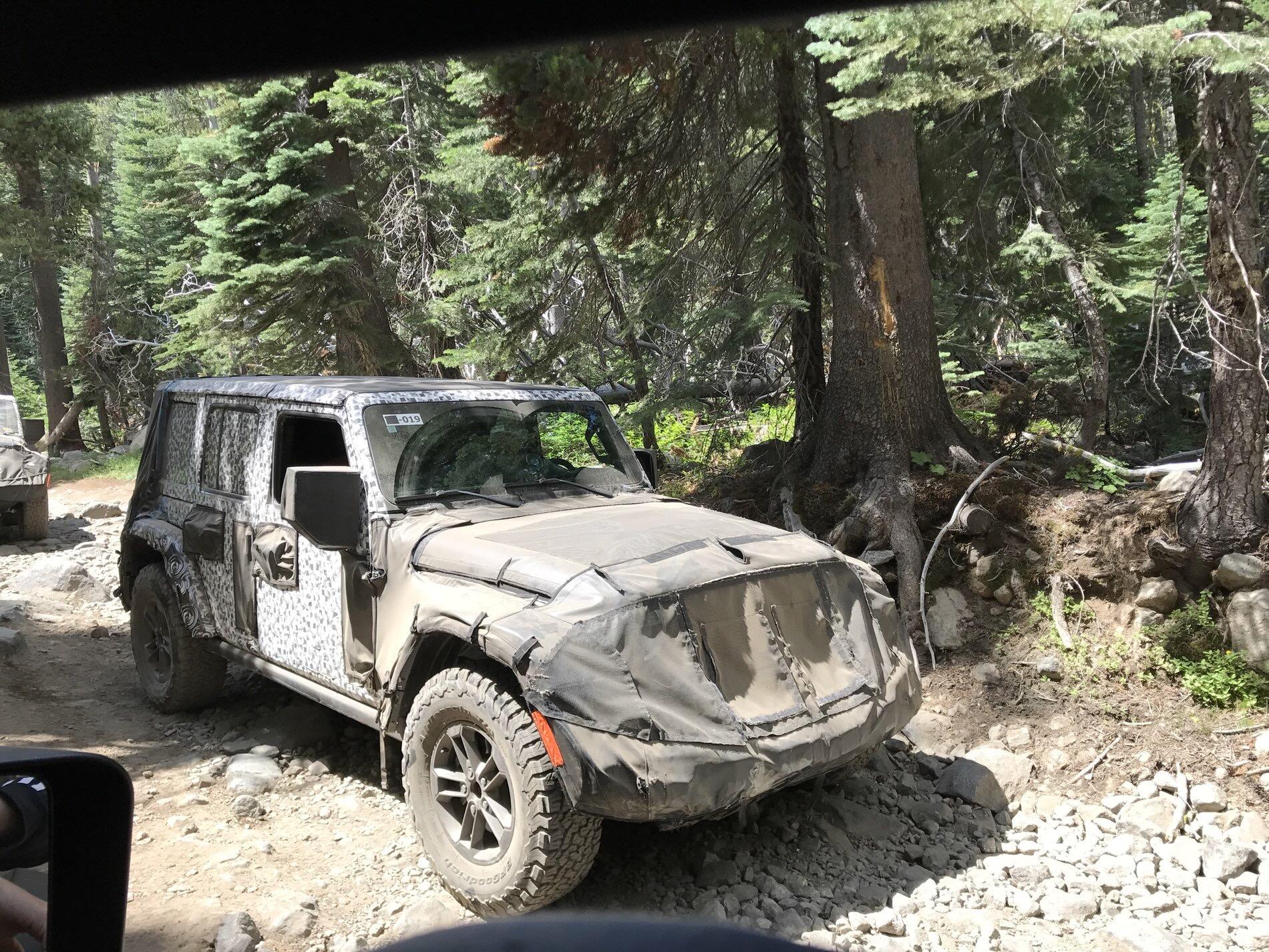 Jeep Wrangler JL Panel-Hardtop Theory IMG_4769.JPG