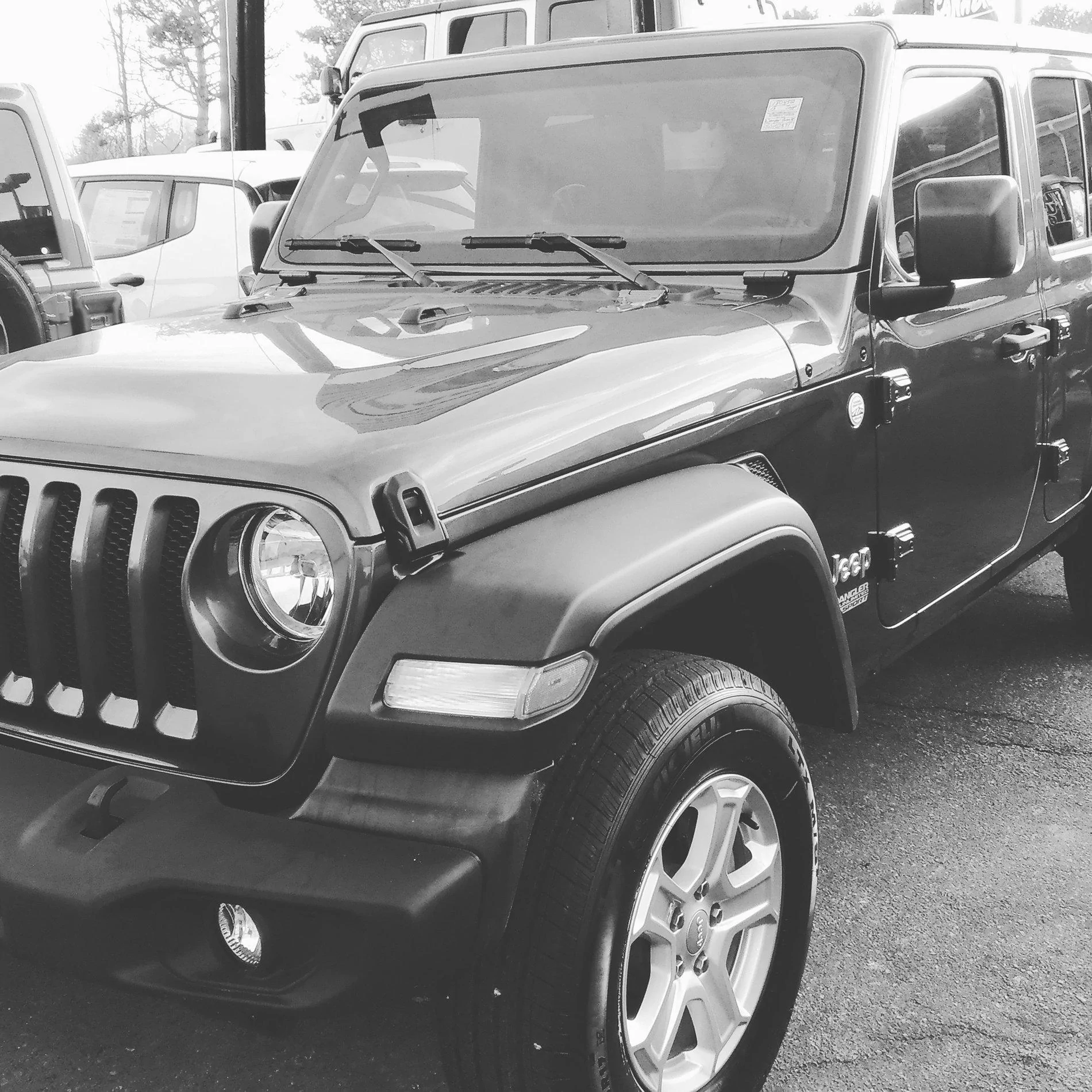 Jeep Wrangler JL Show off your Delivered JL Here! IMG_20180126_195507_563
