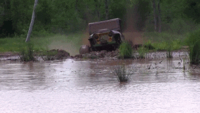 Jeep Wrangler JL Jeep whoops Bronco's butt 77b401e3bddcdc2e6af31d2bbfcf810d-3832382215