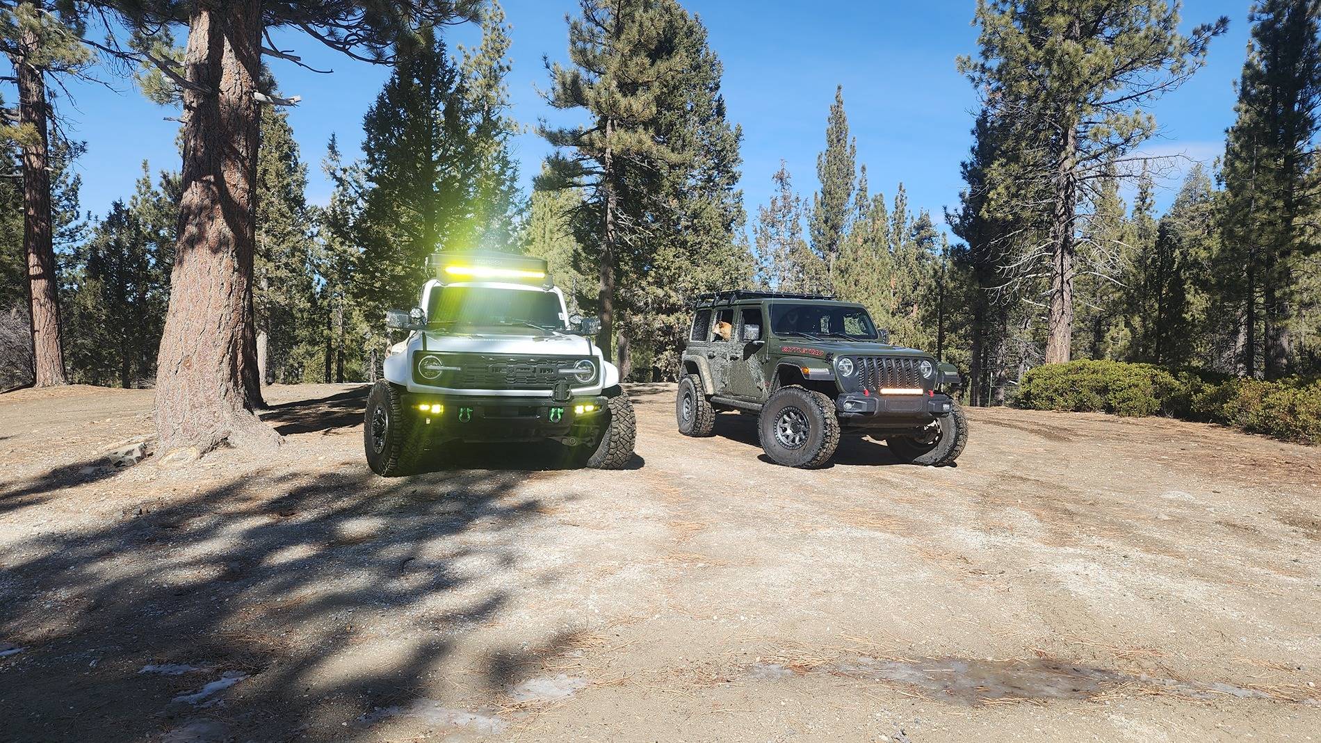 Jeep Wrangler JL Jeep whoops Bronco's butt 1000020082