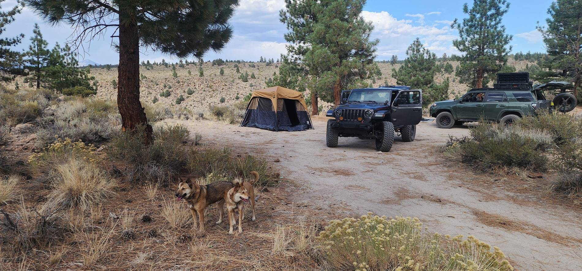 Jeep Wrangler JL What  are your camping setups? 20241005_153049