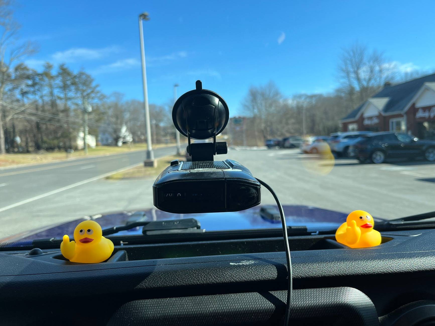 Jeep Wrangler JL Where does everyone get their Jeep Ducks IMG_2395[4213] ducks