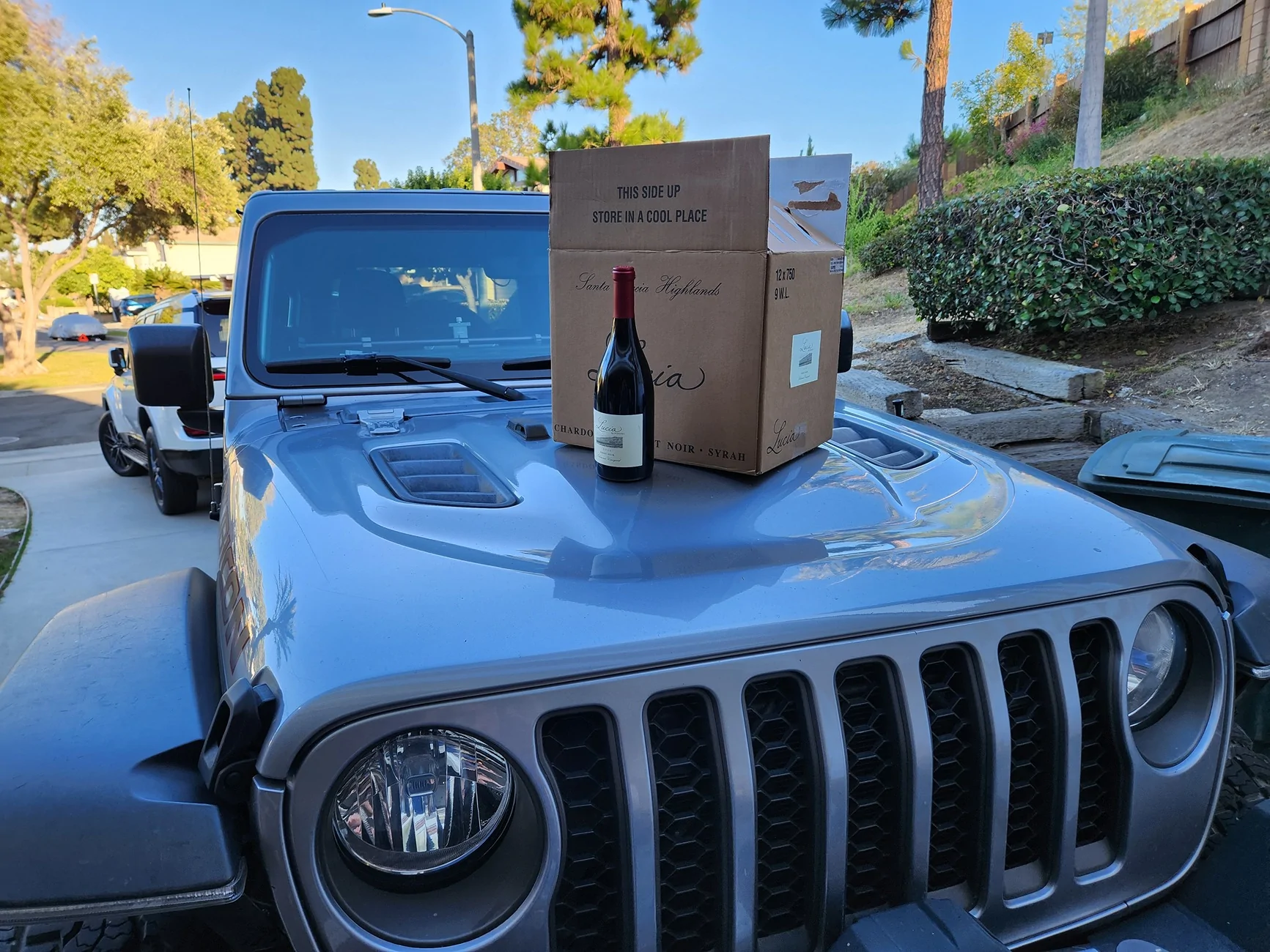 Jeep Wrangler JL Stellantis keeps calling, Saying theres an Open Case 20250801_184526[1]