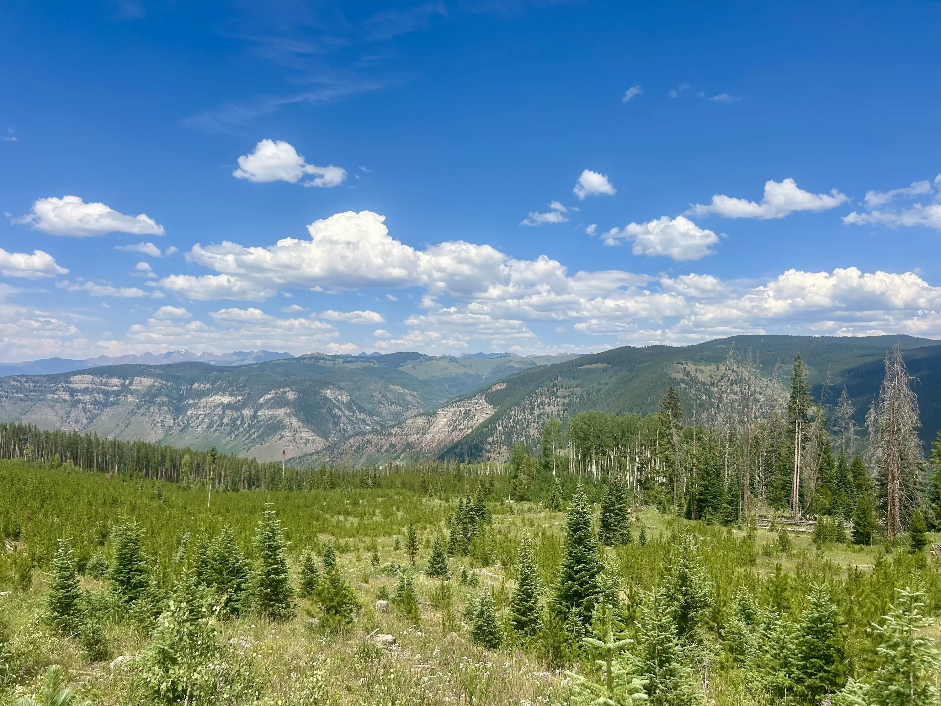 Jeep Wrangler JL Minnesota To Colorado J7CysS7