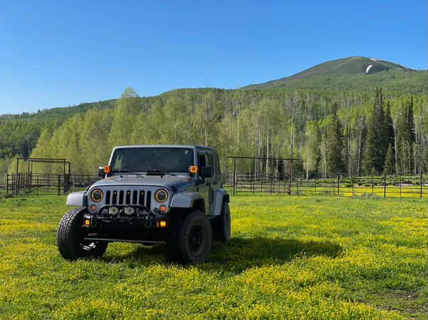 Jeep Wrangler JL Do You Prefer Square or Round Auxiliary Light Pods? 1754535362882-is