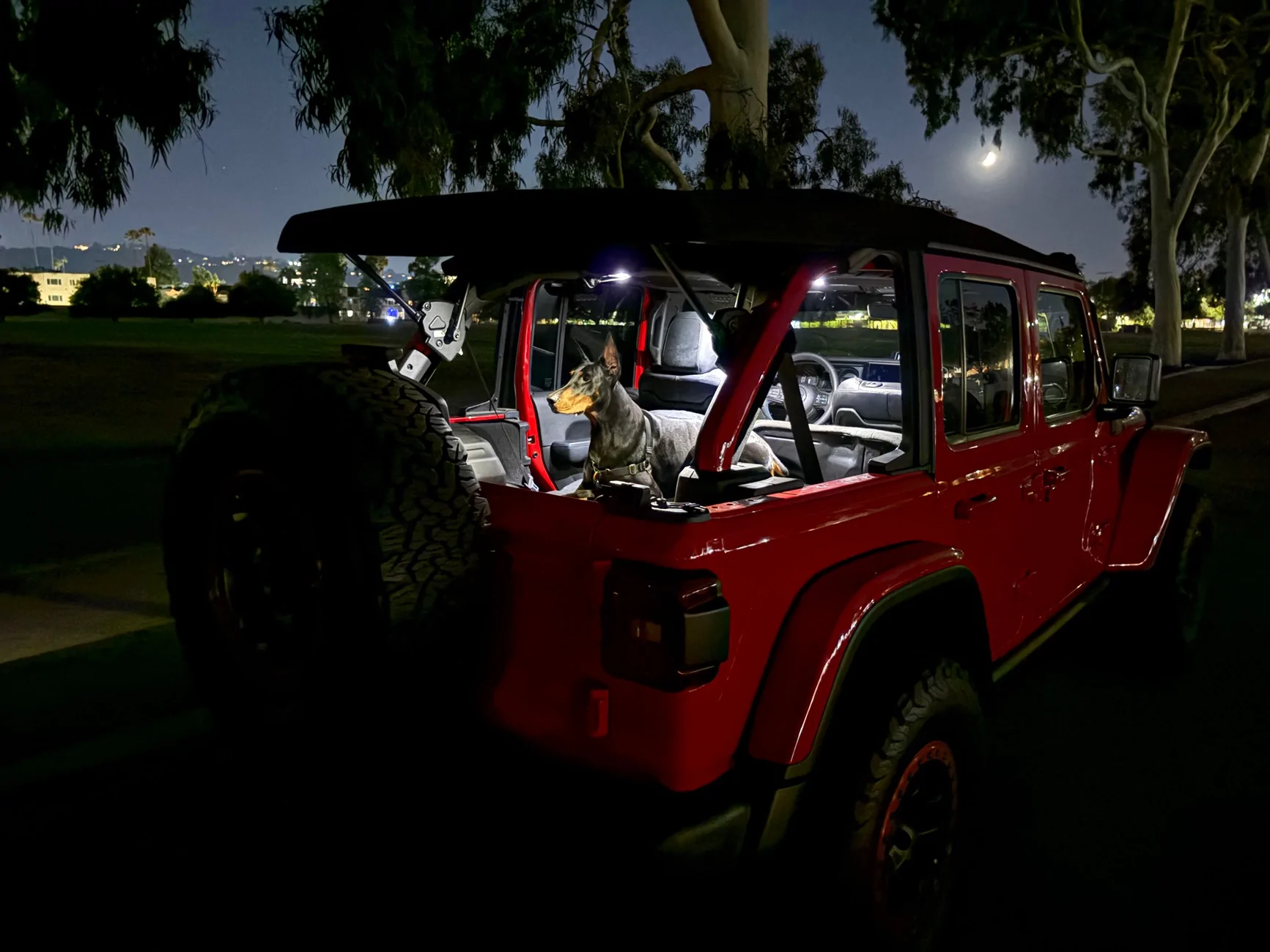 Jeep Wrangler JL Jeep Dog pics IMG_5990