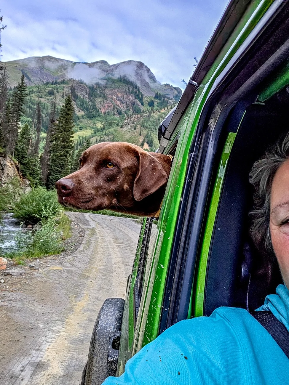 Jeep Wrangler JL Jeep Dog pics 20250722_085511