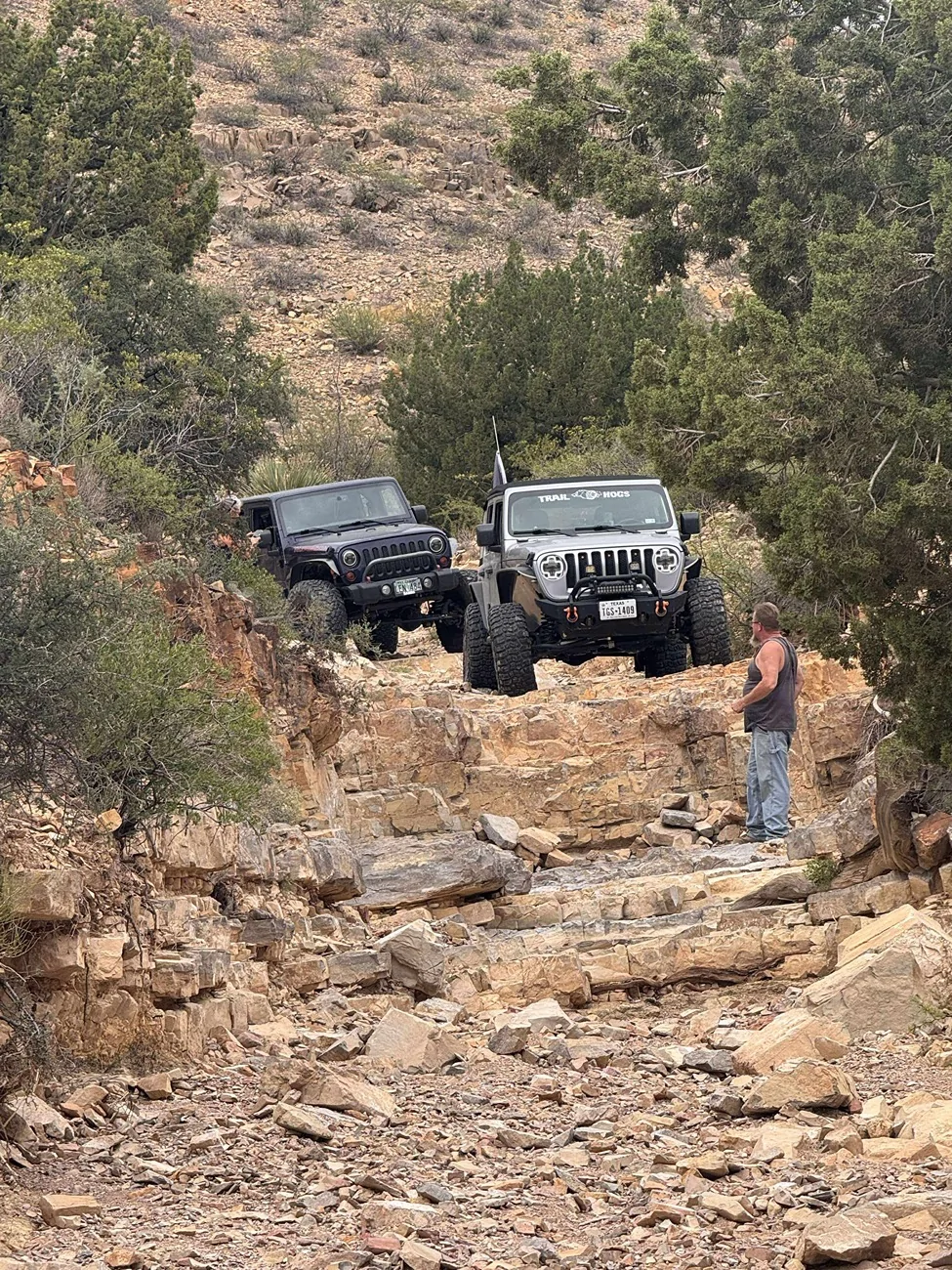 Jeep Wrangler JL My JL build. 0a98a43871bf8a1b65a4c3fbd4f21279
