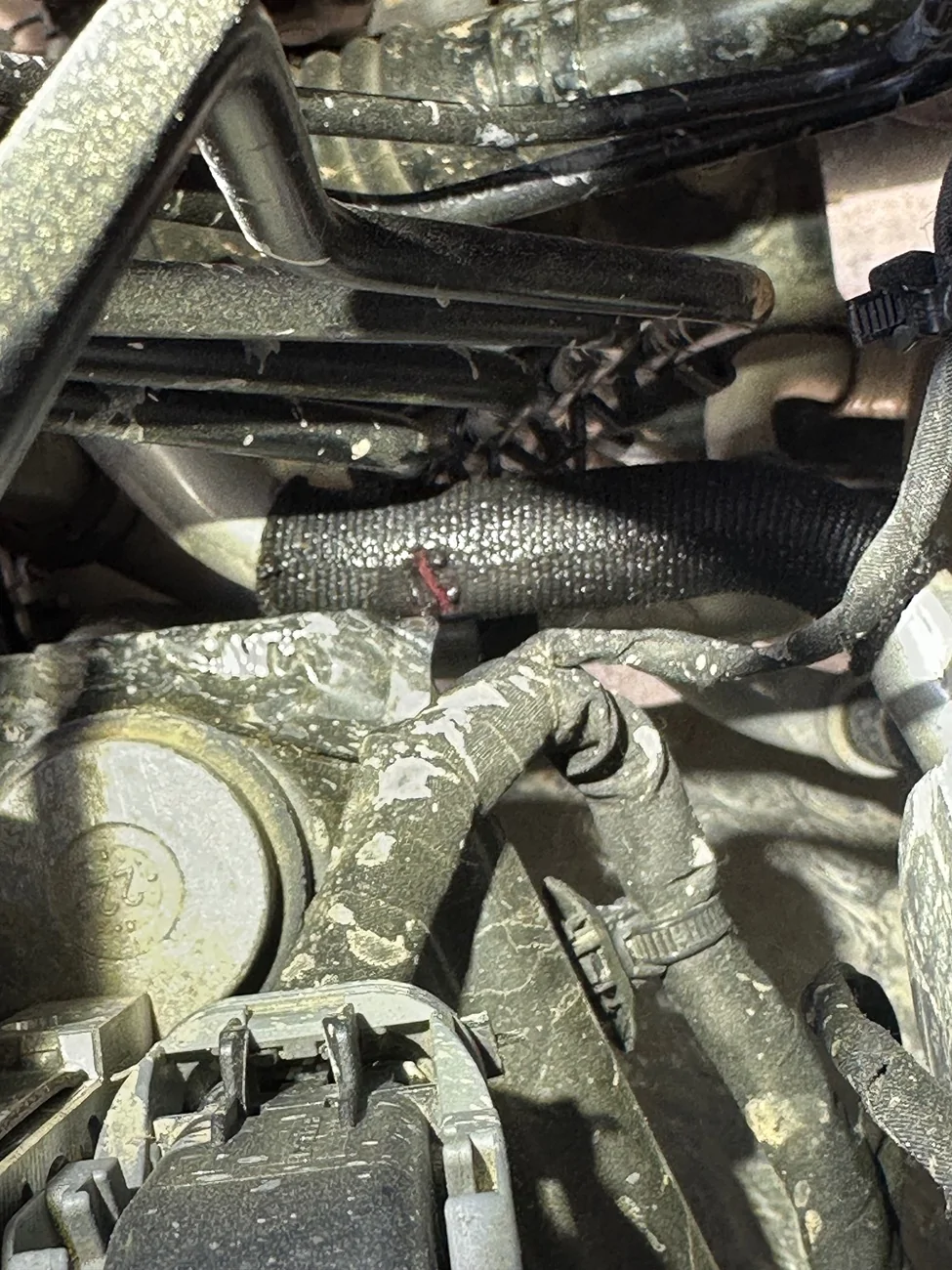 Jeep Wrangler JL CEL without code IMG_4744