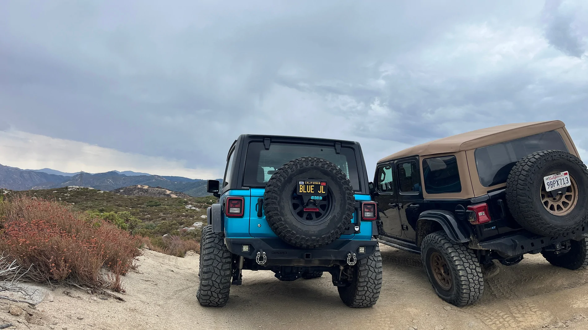 Jeep Wrangler JL Cleghorn (previously Sidewinder) - 8/23 IMG_0340.jpg