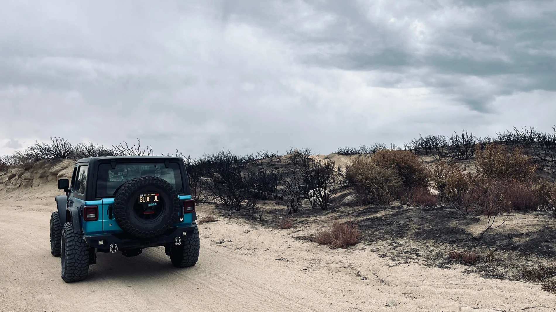 Jeep Wrangler JL Cleghorn (previously Sidewinder) - 8/23 IMG_0342