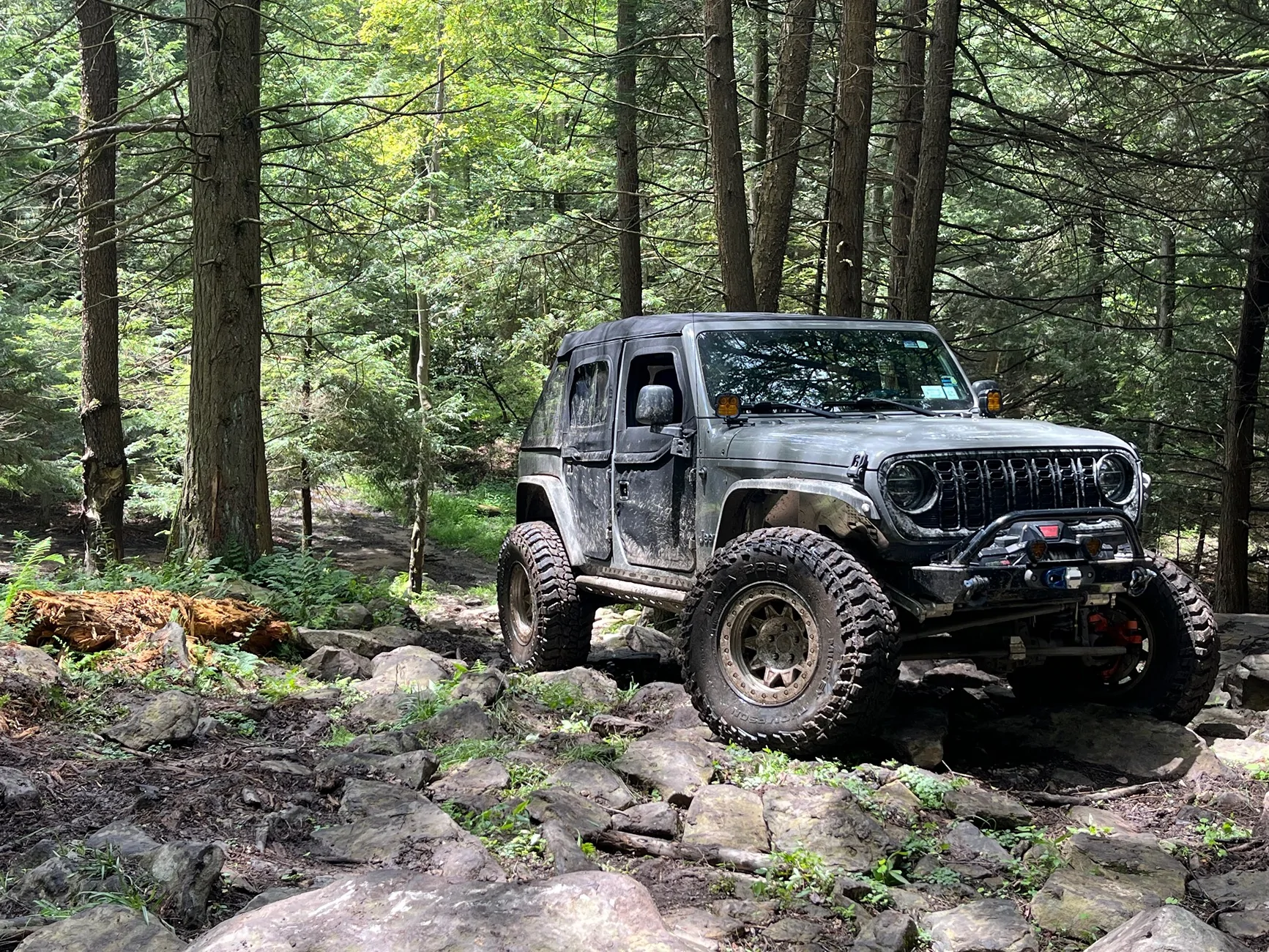 Jeep Wrangler JL synergy springs IMG_0200