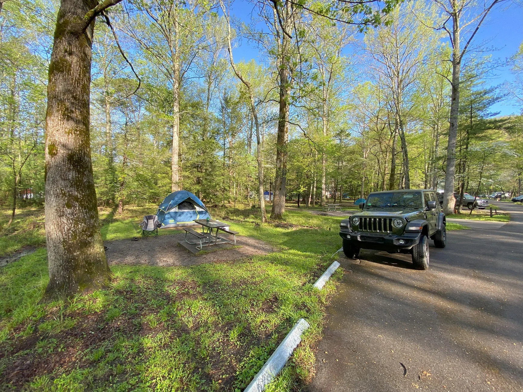 Jeep Wrangler JL What  are your camping setups? 1756767680950-si