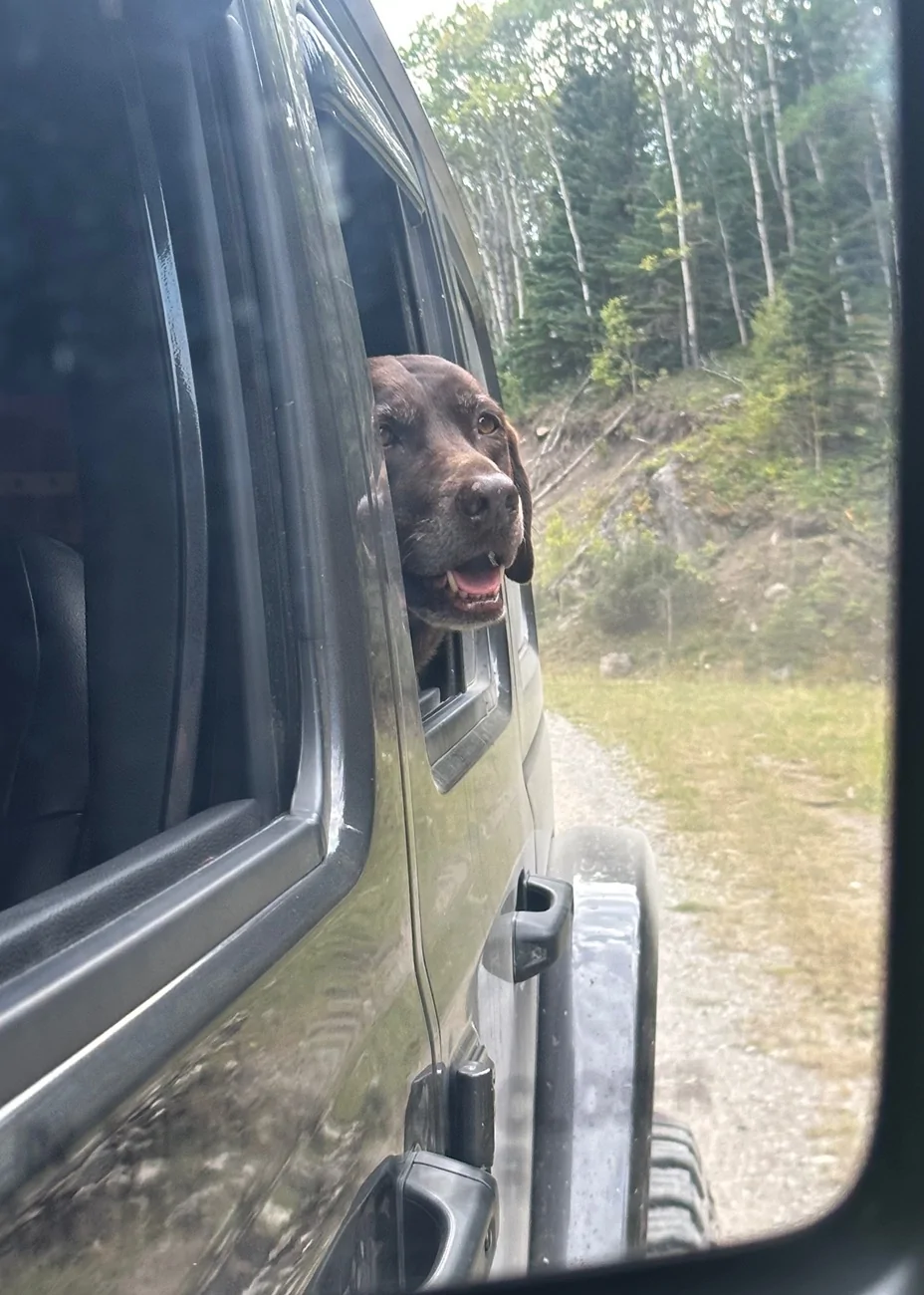 Jeep Wrangler JL Jeep Dog pics IMG_6695
