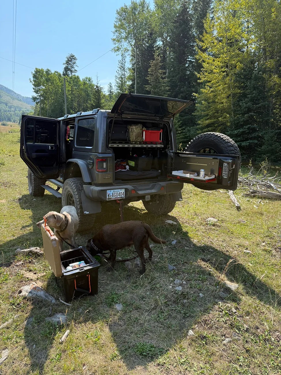 Jeep Wrangler JL Jeep Dog pics IMG_6055