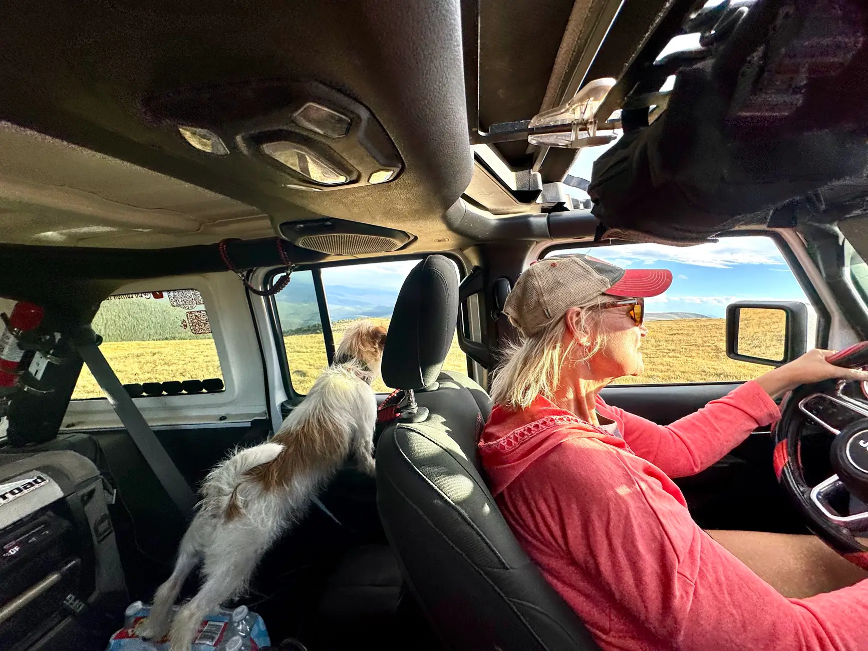 Jeep Wrangler JL Jeep Dog pics 1756815984782-13