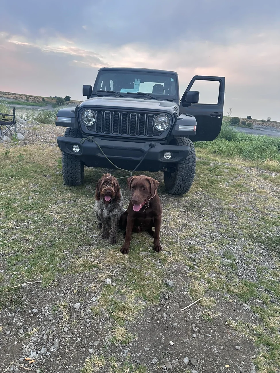 Jeep Wrangler JL Jeep Dog pics IMG_2392