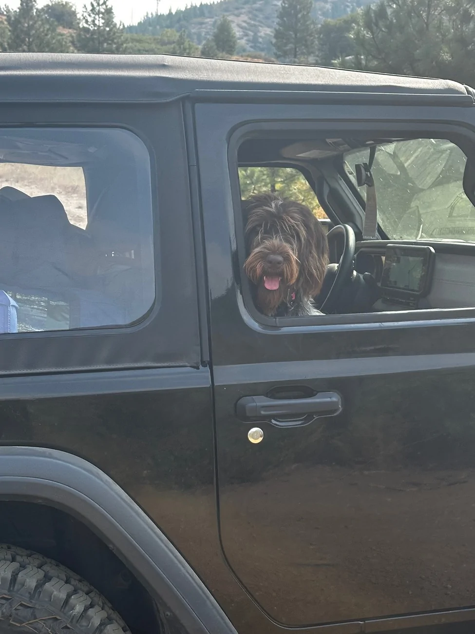 Jeep Wrangler JL Jeep Dog pics IMG_2592