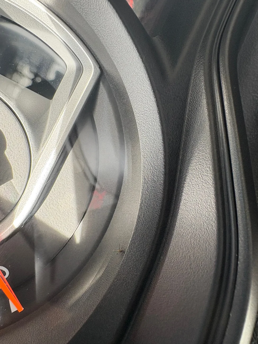 Jeep Wrangler JL Insect behind the glass tachometer IMG_0052