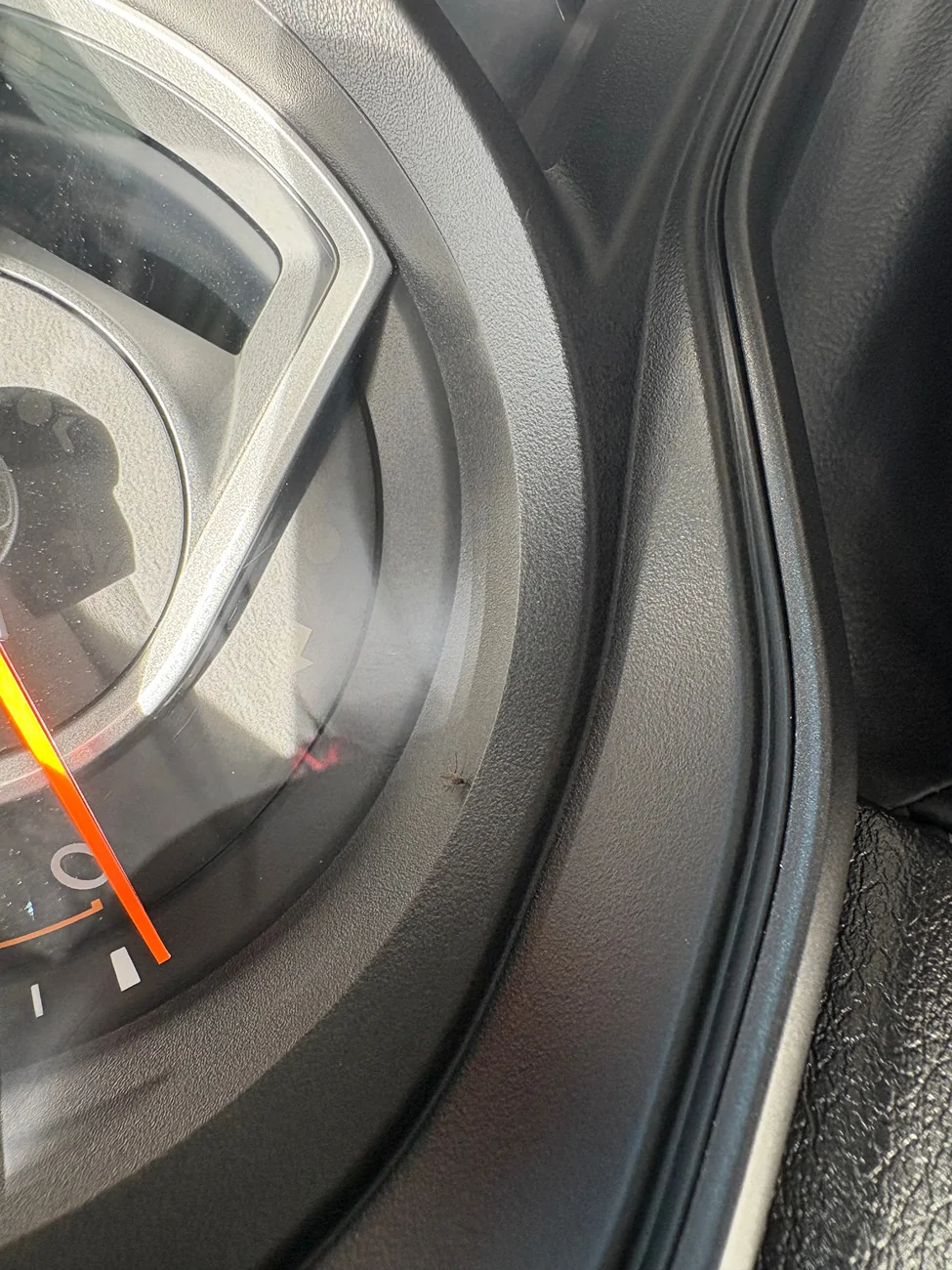 Jeep Wrangler JL Insect behind the glass tachometer IMG_0053
