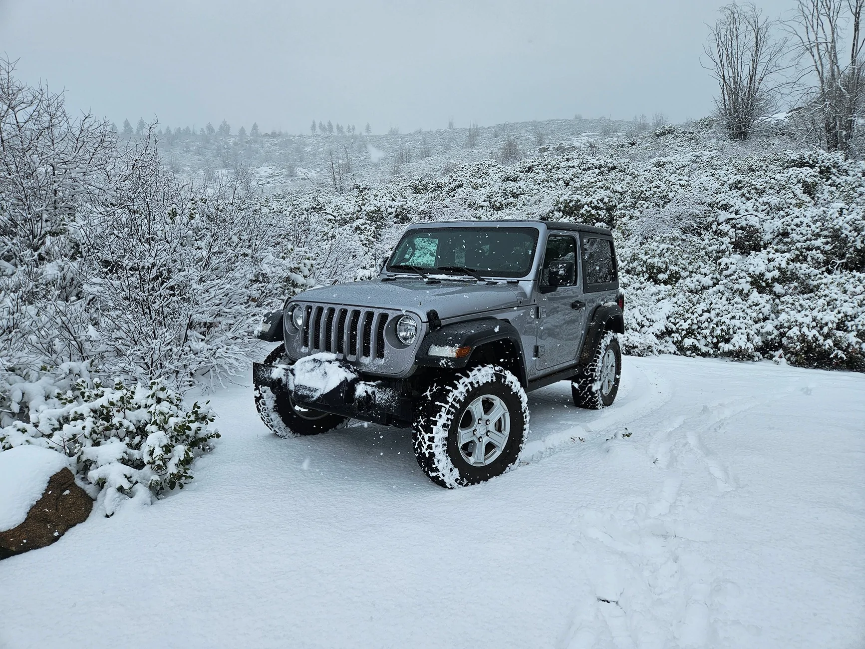 Jeep Wrangler JL My Jeep AKA "Cheat Code" 1000008770