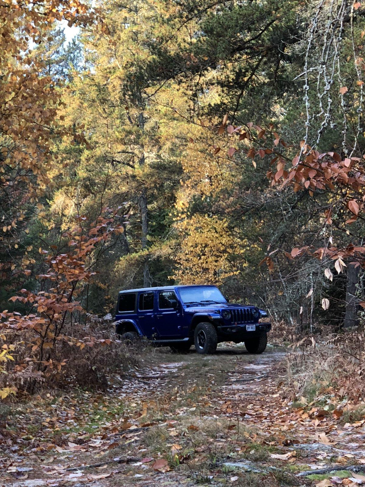 Jeep Wrangler JL What did you do TO your Jeep JL today? 2E76DF0E-C588-4D3C-90E4-84FD3941145F