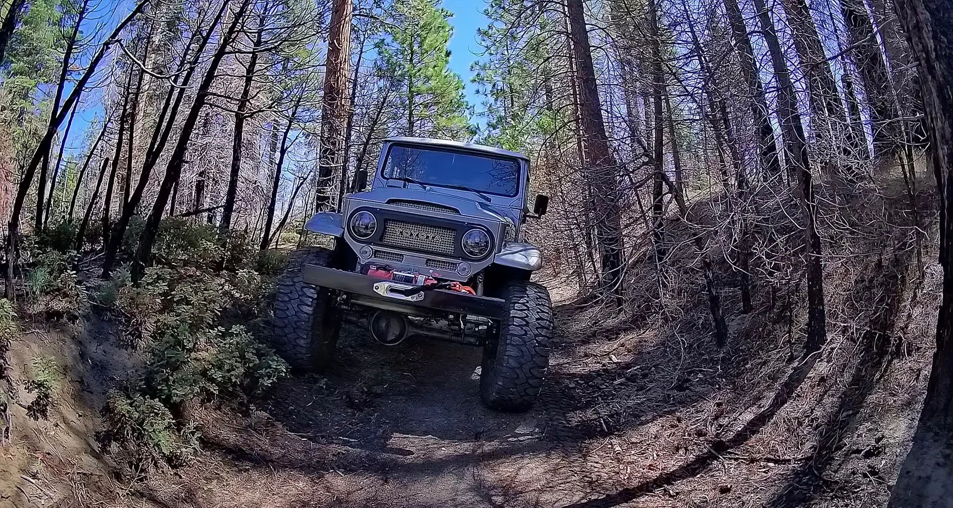 Jeep Wrangler JL Another Wolfbox Tripro Bumper Version Initial Review 2025_09_20_110224_00_R