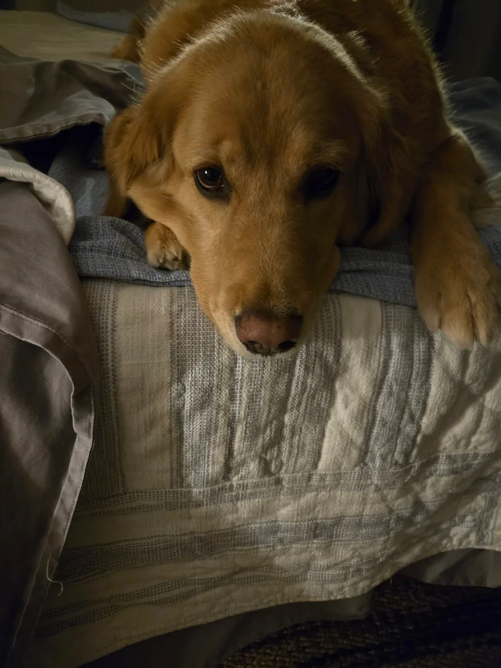 IMG_20251002_204645.webp