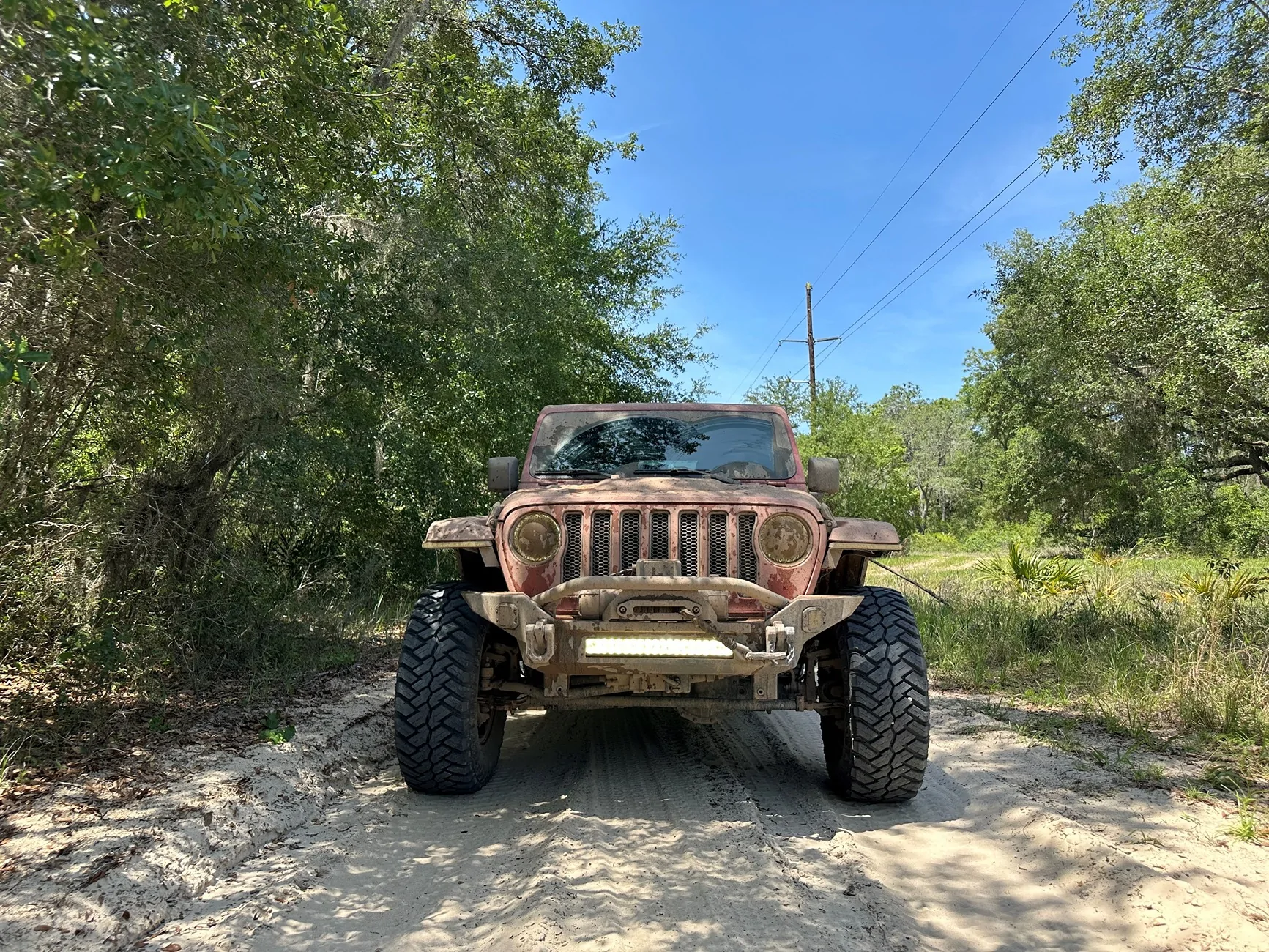 jeep florida.webp