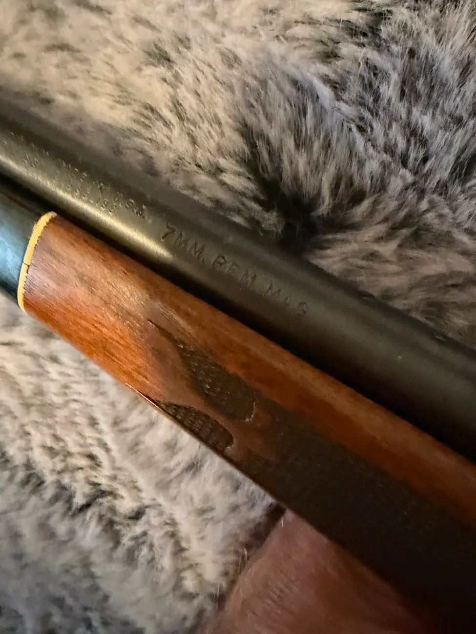 Jeep Wrangler JL Firearm and knife collectors tempImagetCwxLq