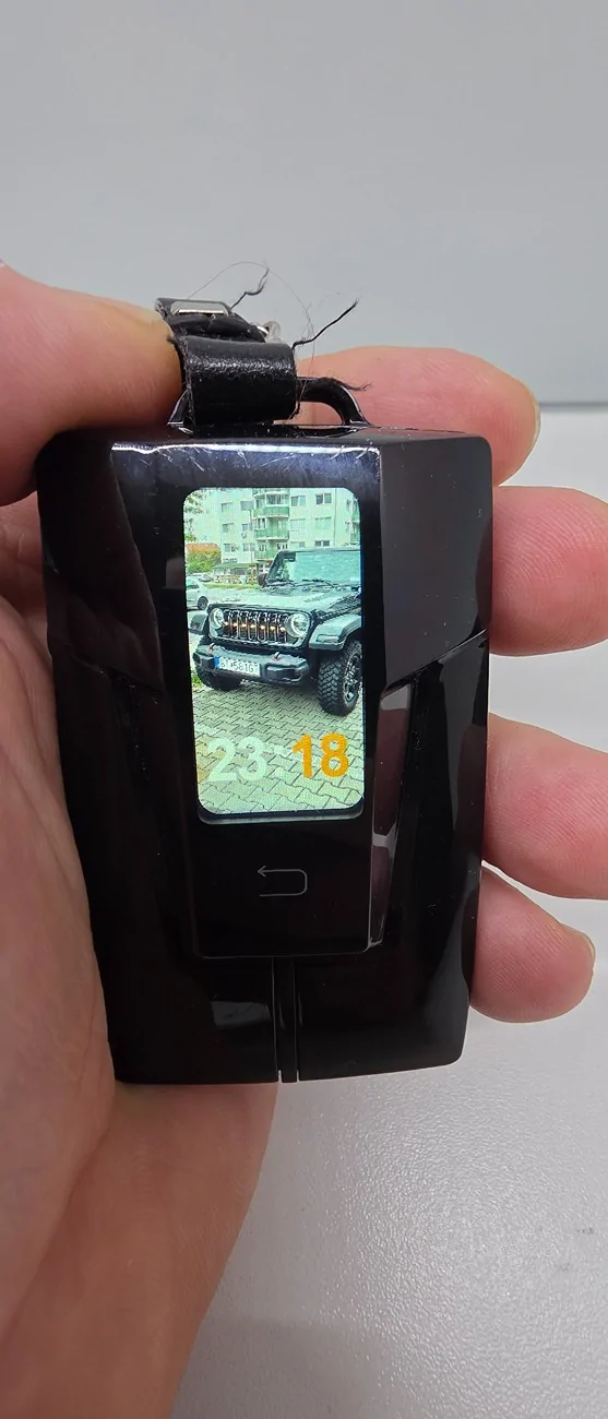 Jeep Wrangler JL Panic button disable 20251029_221840