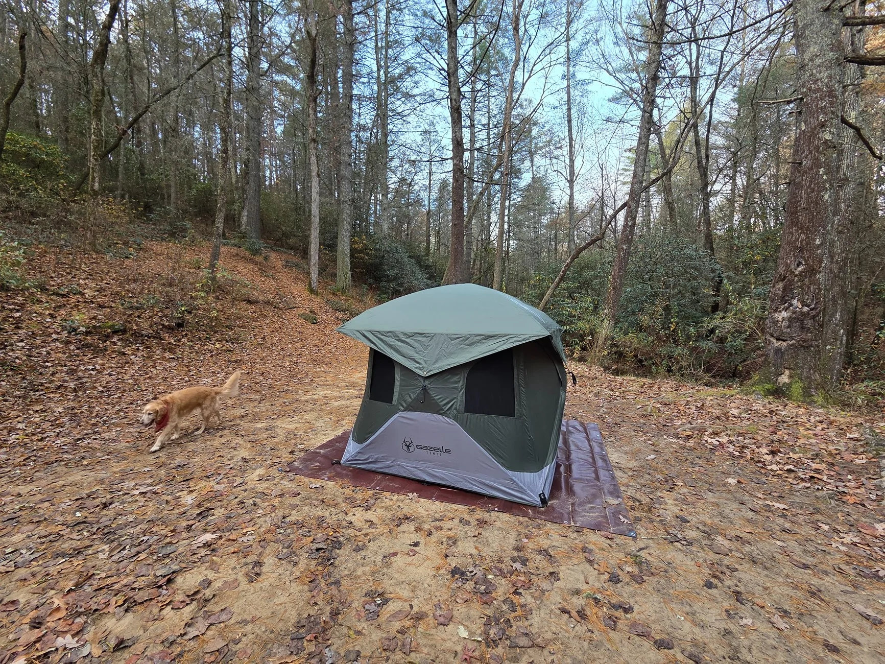 Jeep Wrangler JL What  are your camping setups? 20251115_083601