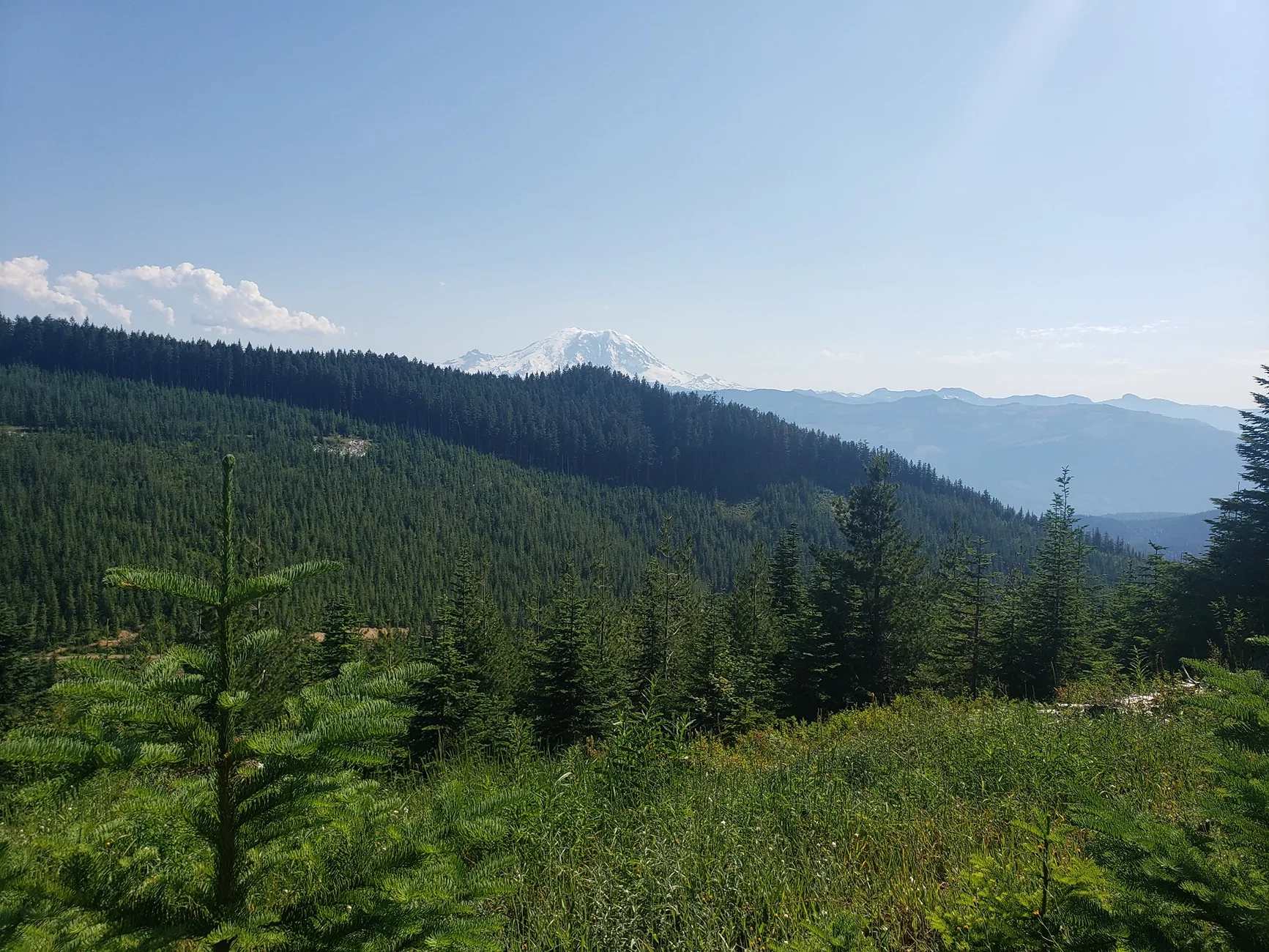 Ditch the 0w20 before its too late. Page 144 Jeep Wrangler Forums(02)