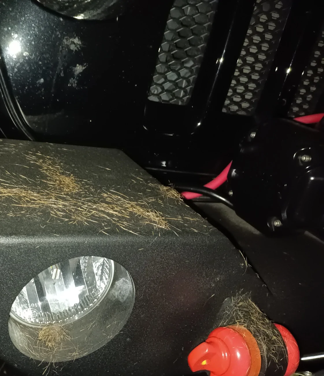Jeep Wrangler JL Solo Night Run cut short. 20251127_190159