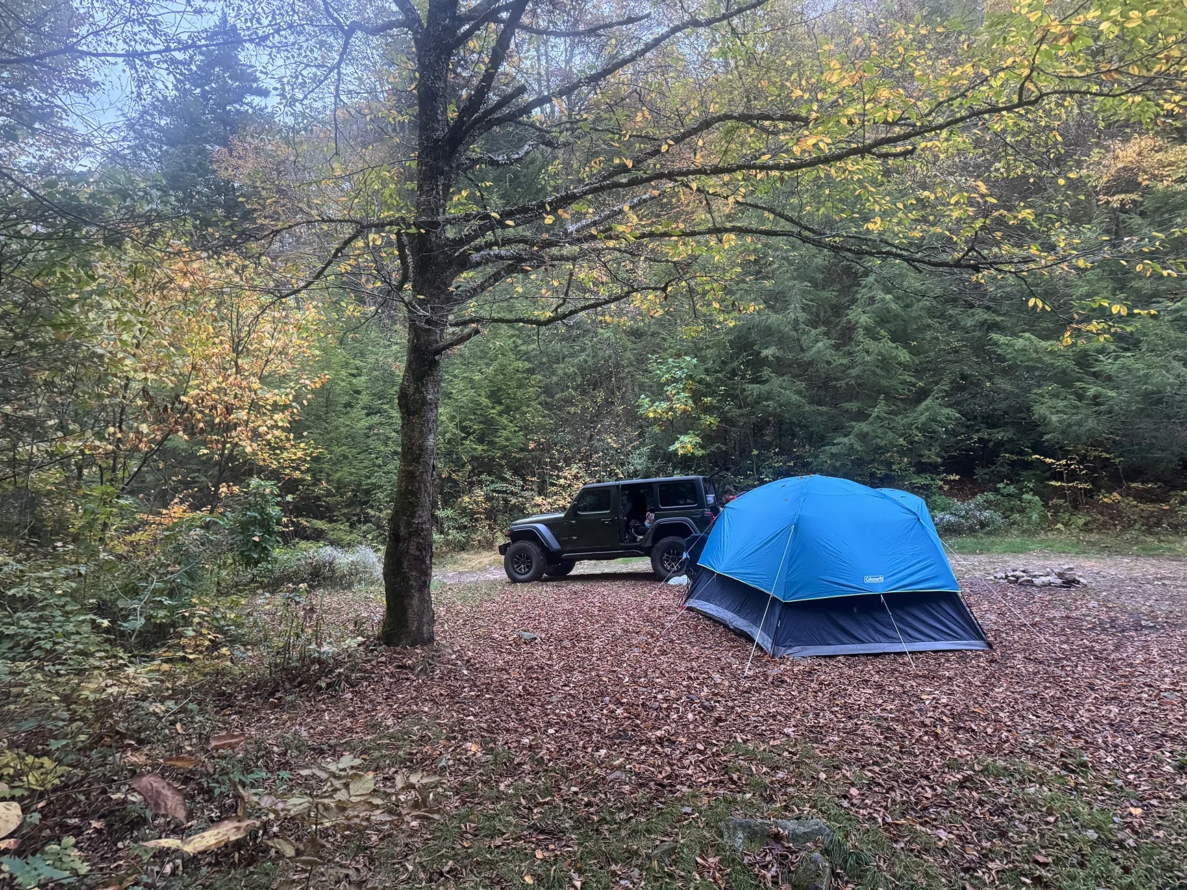 Jeep Wrangler JL What  are your camping setups? IMG_5656