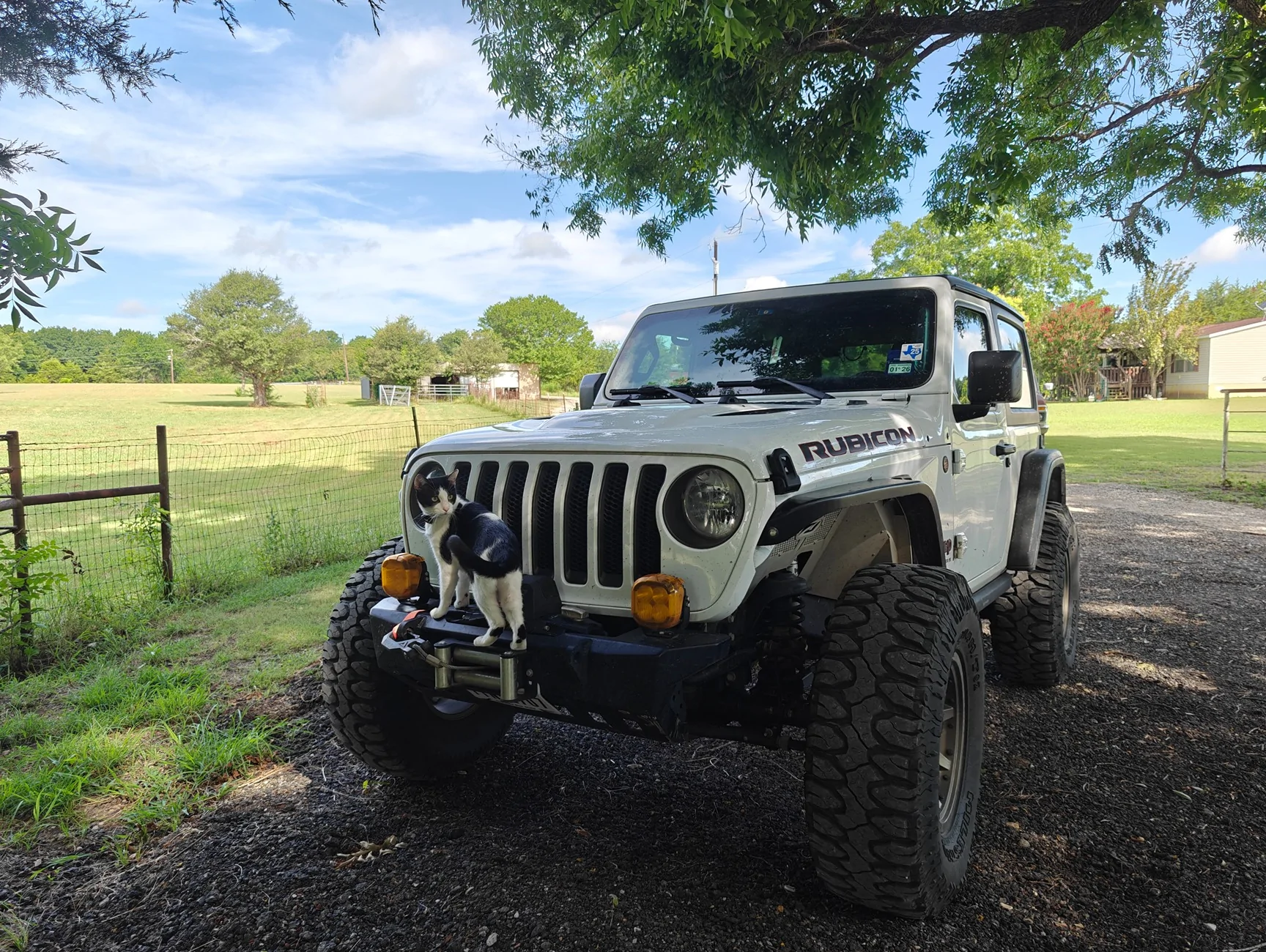 Jeep Wrangler JL SUPAREE is looking for pod lights testers (free product in exchange for honest feedback) 1000002325