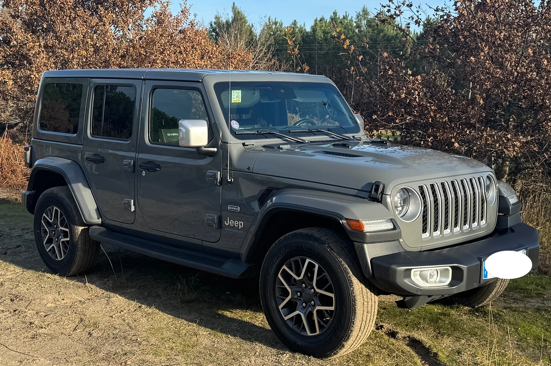 Jeep Wrangler JL Owners show off your new 4xe! IMG_4936