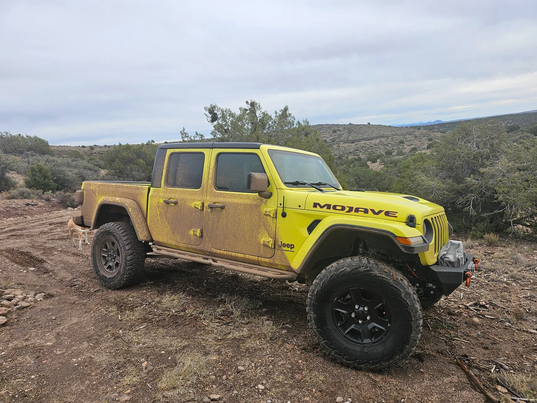 Jeep Wrangler JL Trying to decide on a lift 20251122_134726