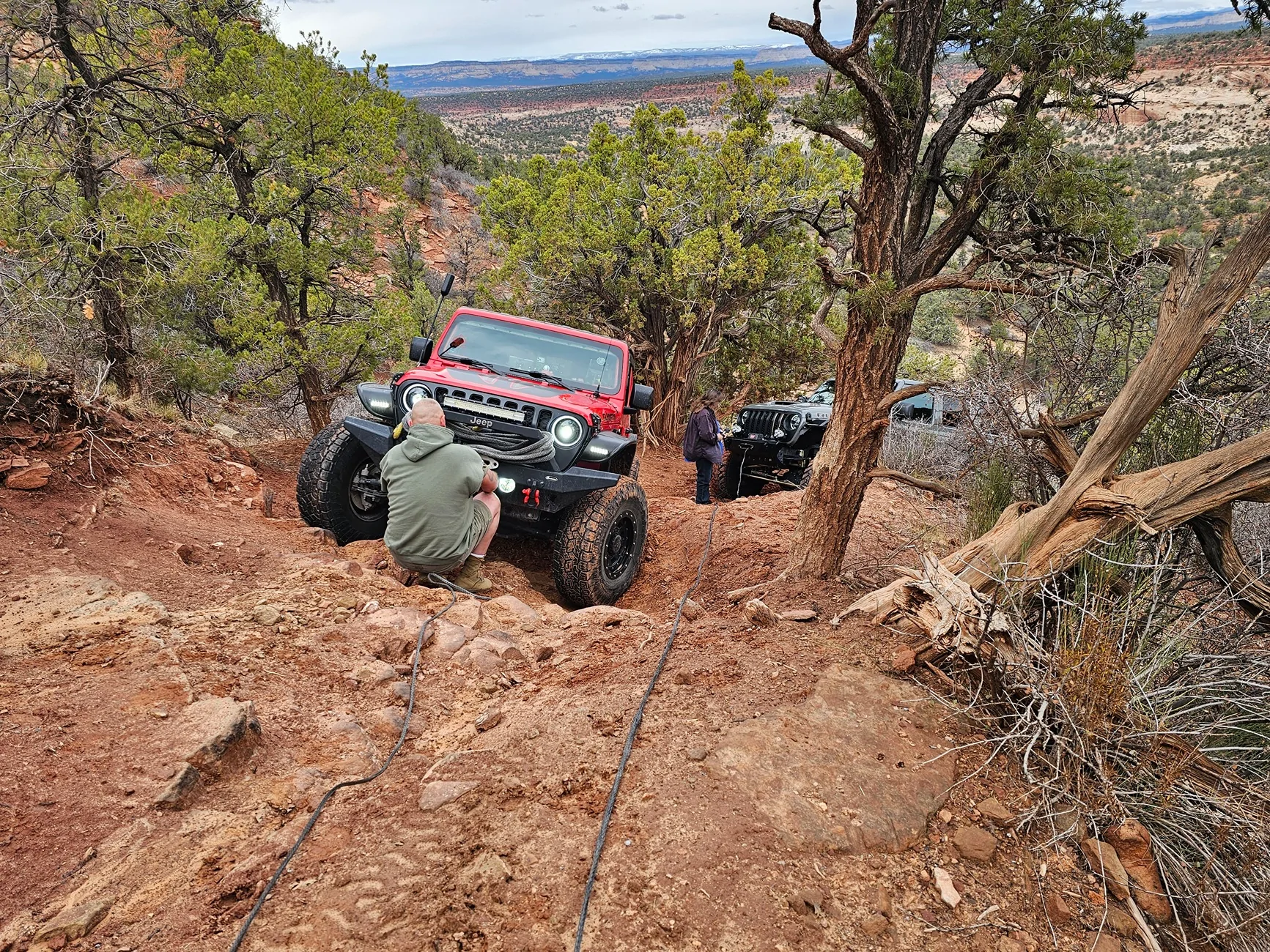 Jeep Wrangler JL What winch do you have? 392 Hog Canyon 2