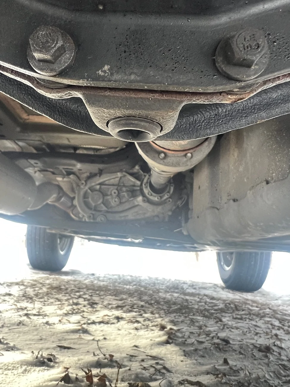 Jeep Wrangler JL M186 & M200 diff drain plug? IMG_5451