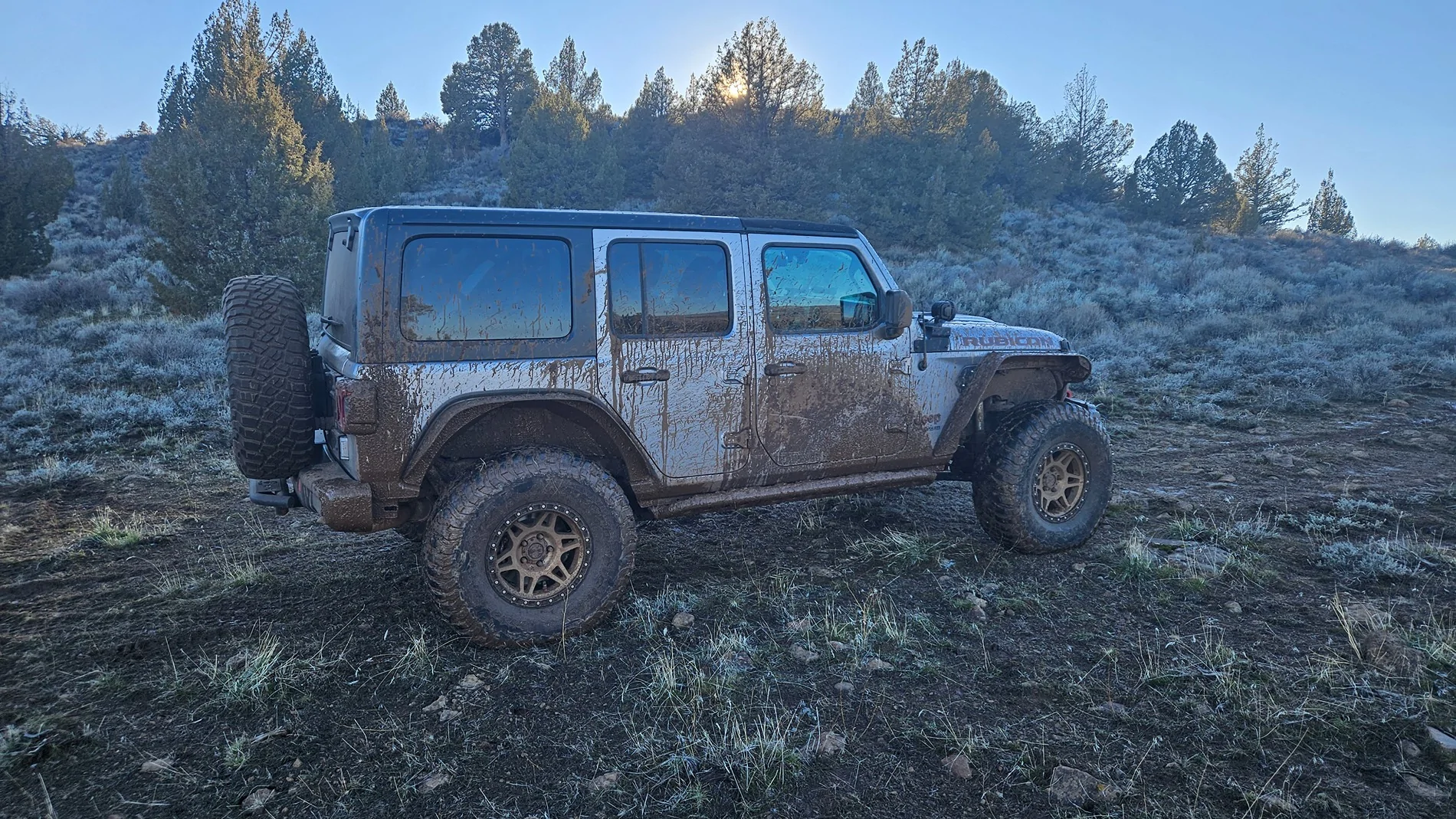 Jeep Wrangler JL Ceramic coating 20260113_152121