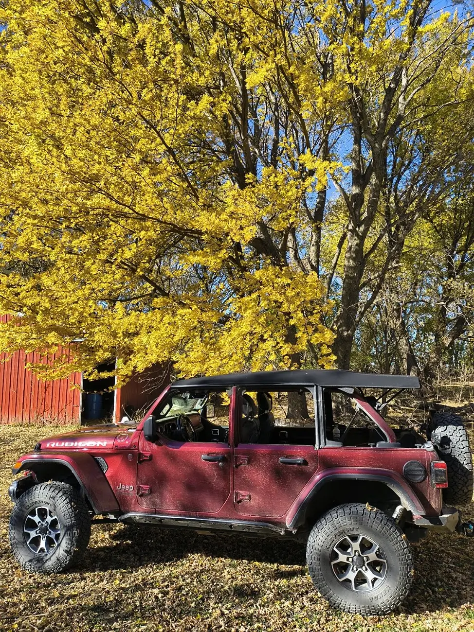 Jeep Wrangler JL Golden Sunshine and Shined Jeep Pics - Share Yours 1768963101935-4x