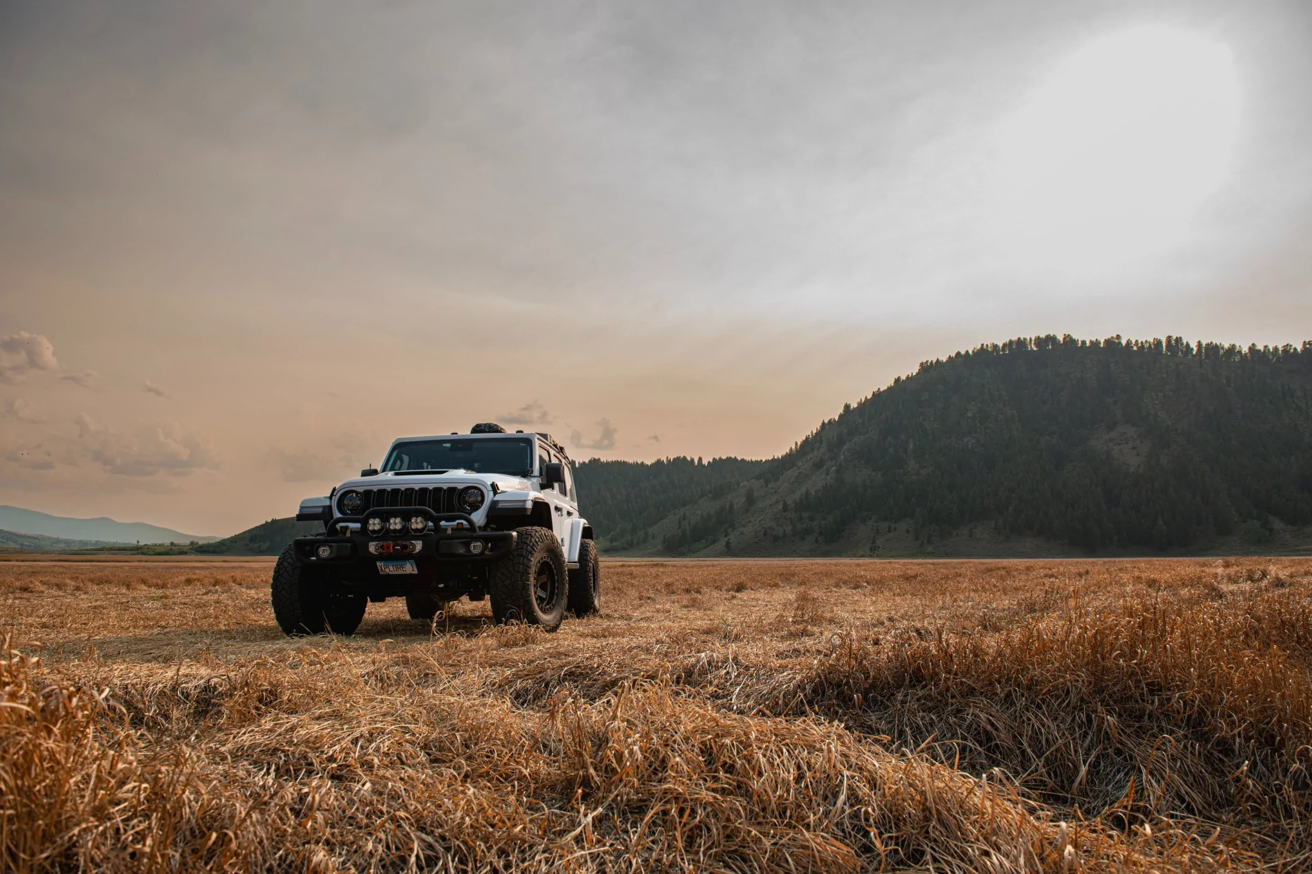 Jeep Wrangler JL Golden Sunshine and Shined Jeep Pics - Share Yours _DSC0817