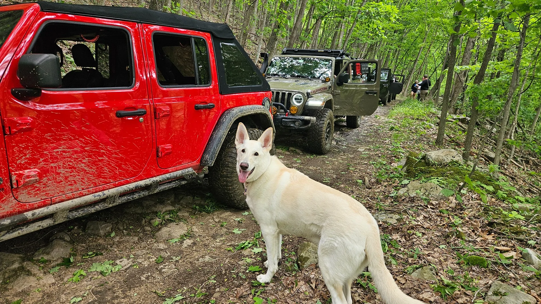 Jeep Wrangler JL Golden Sunshine and Shined Jeep Pics - Share Yours 20250518_125113