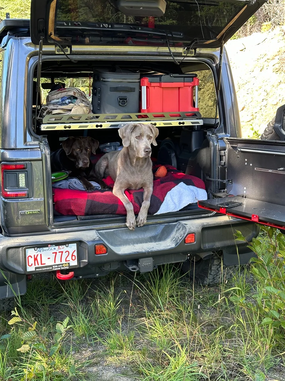 Jeep Wrangler JL Storage Bins recommendations? IMG_3254