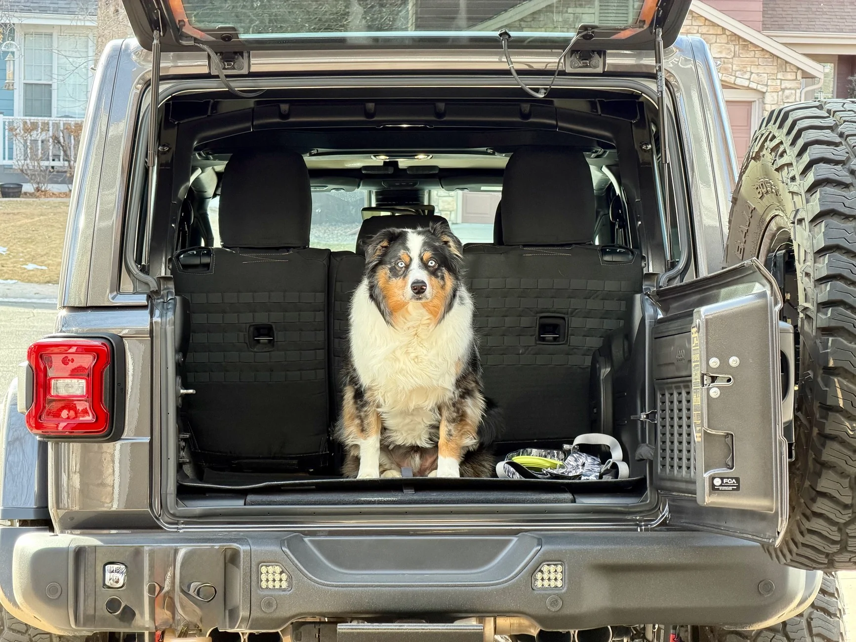 Jeep Wrangler JL Jeep Dog pics IMG_4150