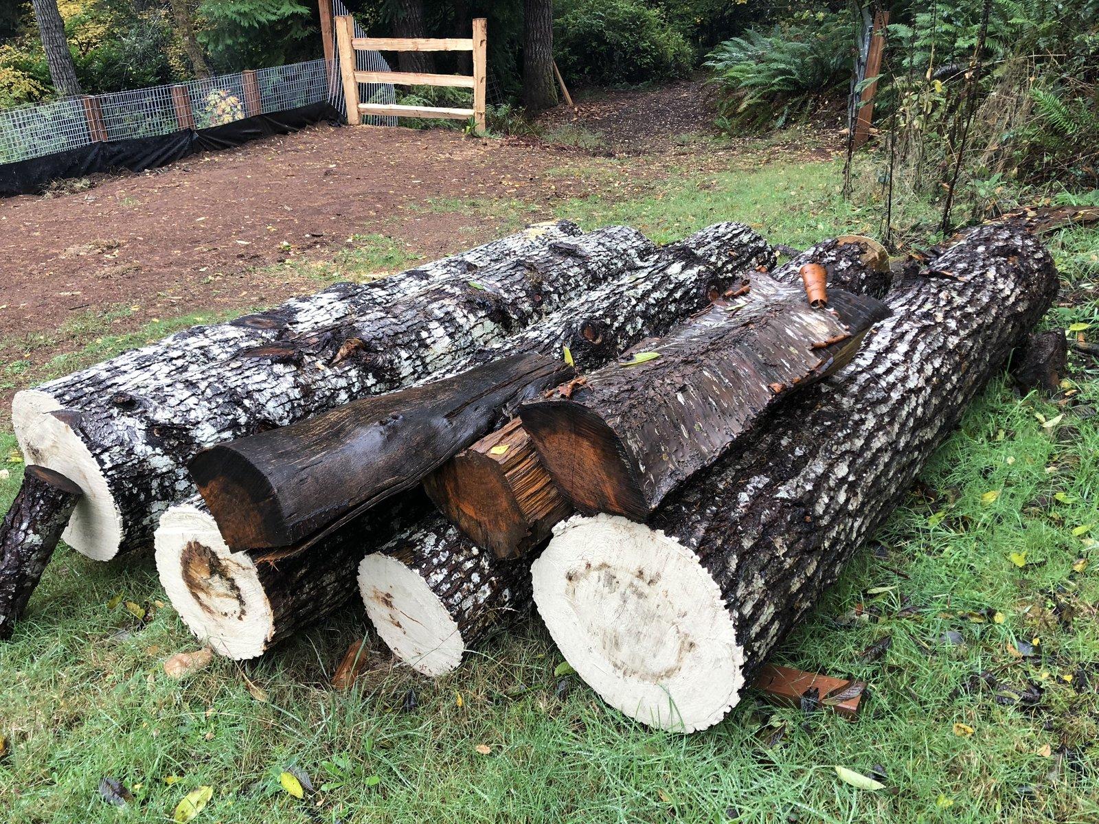 Jeep Wrangler JL Dragging logs (off road) with Rubicon 1B14AA2F-19F0-43B7-B53B-3A417C32E6B1