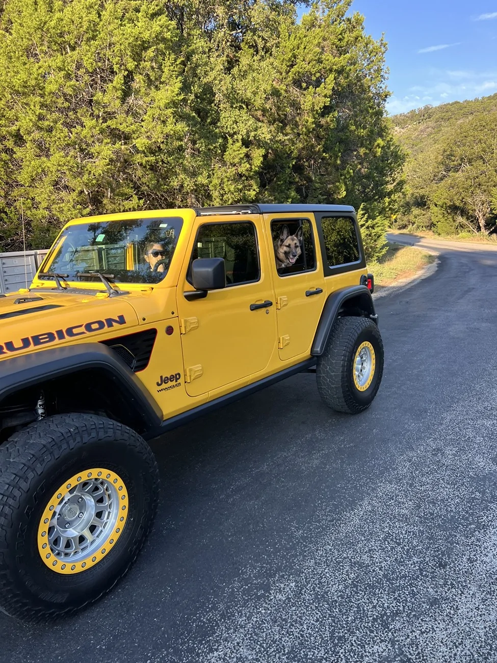 Jeep Wrangler JL Jeep Dog pics CRUISING WITH BELLA