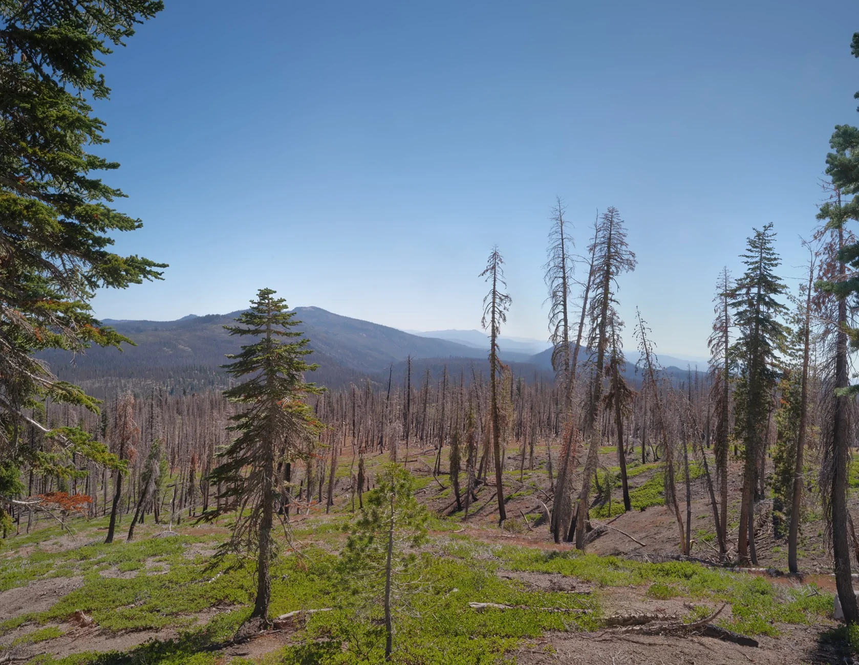 Jeep Wrangler JL California Campfire Permit 20250923-FUJI7606-7609-Pano-ON1-C1