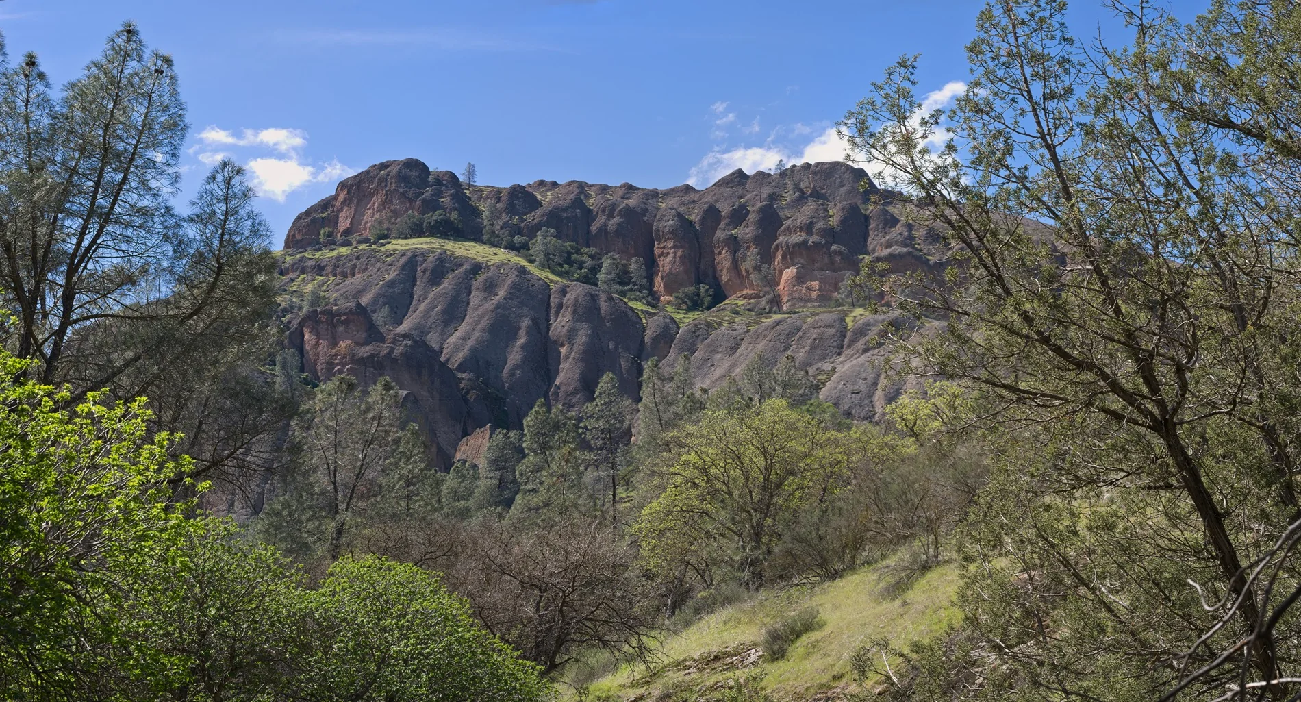 Jeep Wrangler JL Pinnacles Wildflowers 20260303-FUJI9327-Pano-ON1-C1